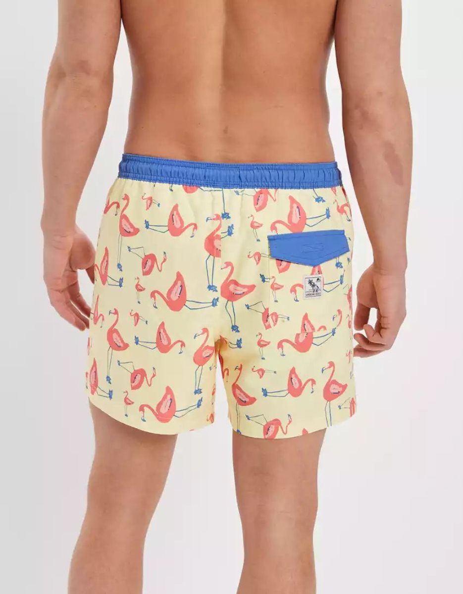 Shorts American Eagle AE 5.5